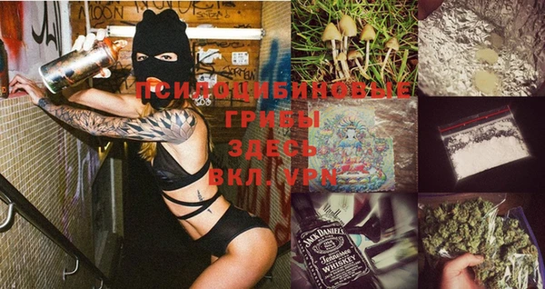 2c-b Баксан